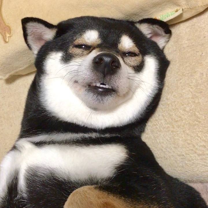 E9b5cb37 02be 4ffc aef9 4a8b58dde9b5