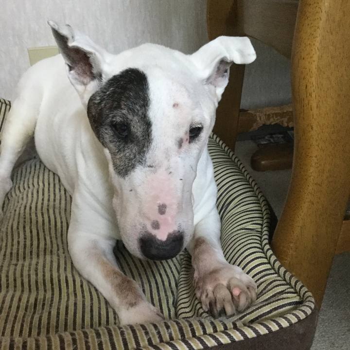 E9b6fe9e 0974 4f25 813d 48871c88dfba