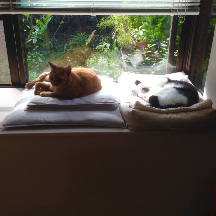 E9b70aef 1cc6 417b 92db dea080f837e7