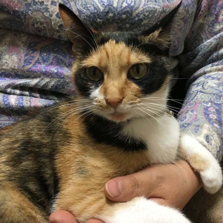 E9b7ce07 a6df 40a3 9c7a df5101dd2497