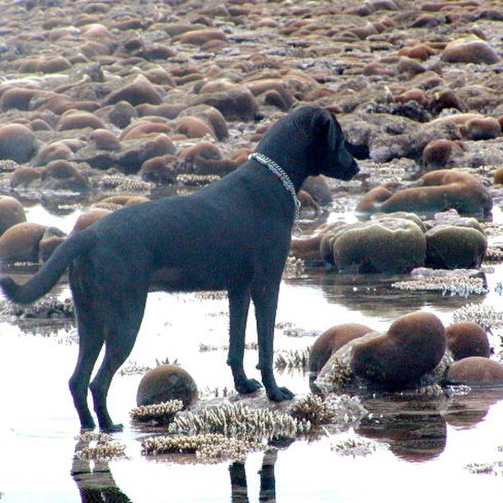 E9b80ecd e247 47fe b761 2db7d3927e7e