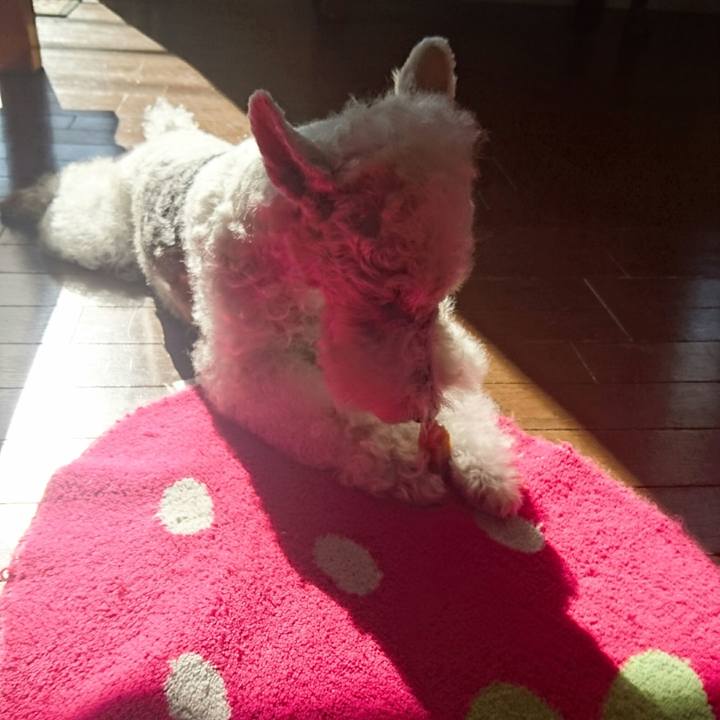 E9b81bca 18a7 46e1 a6c1 b07998e7d1bd