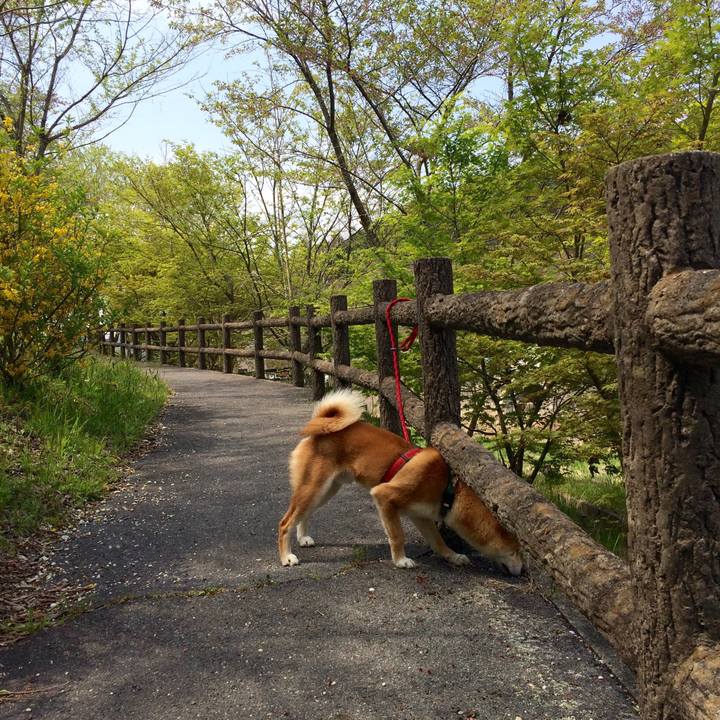 E9b84811 5259 4f42 b03a 6bd64f978547