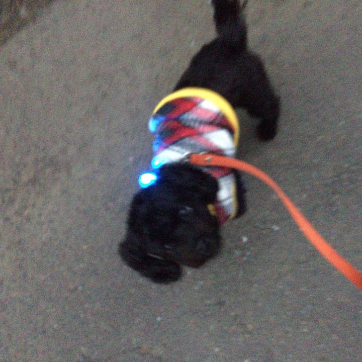 E9b8e08c 4679 4b88 ac28 4ece83bf2146