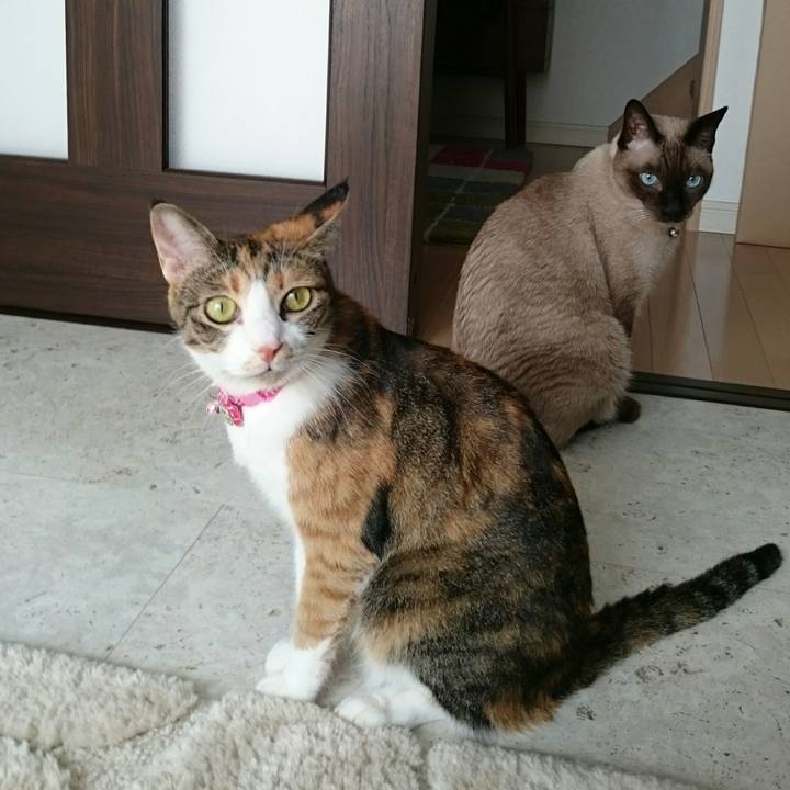 E9b901ad 9cc6 48a2 8277 8fa006b626ee