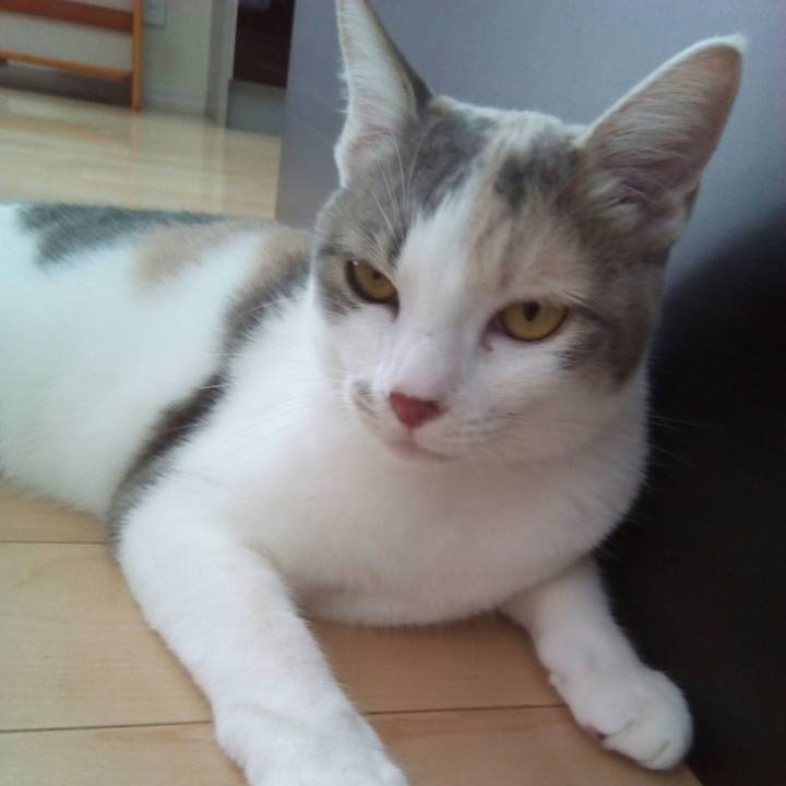 E9b9e504 7144 44db a752 da7efc46d5ef