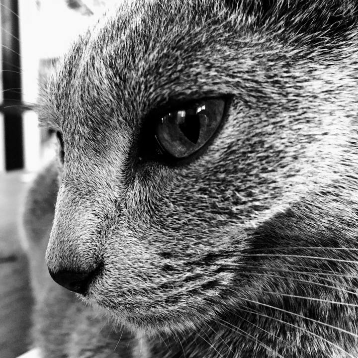 E9ba317c 4a08 45b9 9791 a9cb6a78baa0