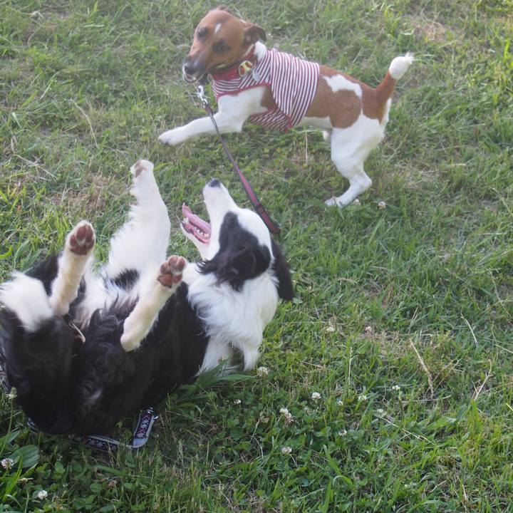 E9baa2f9 0679 49f3 b129 cd2dc014ac31