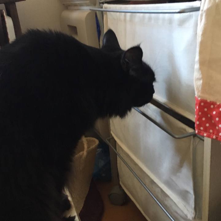 E9baefd8 c87c 444e bf9c fa055e0fa455