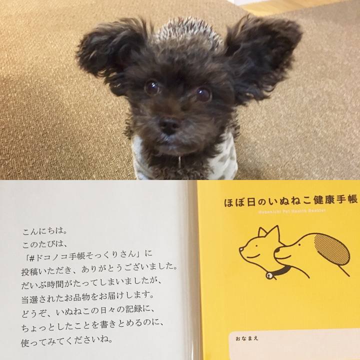 E9bb9696 a14d 440e a019 29002f5d0386