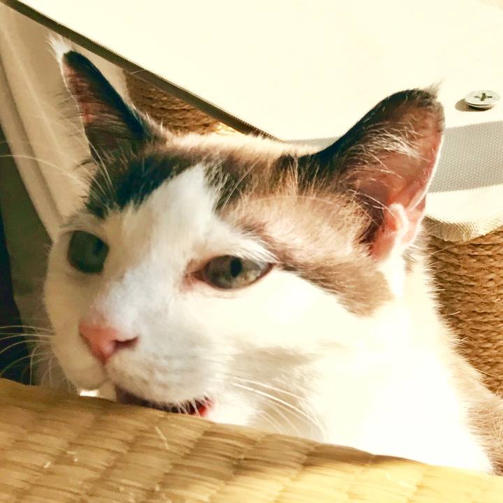 E9bbda29 a783 4a57 9c89 b066cd8929f1