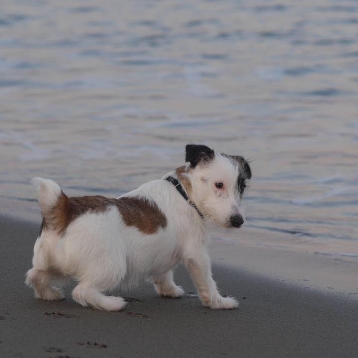 E9bbfd62 8438 4b0d 8553 e56053b83c0d