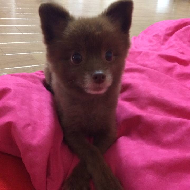 E9bc823c 633c 4d3a 9652 a71ff91a2c00