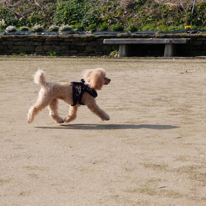 E9bcc609 7297 41ae 87f5 7bcaf83dfa3b