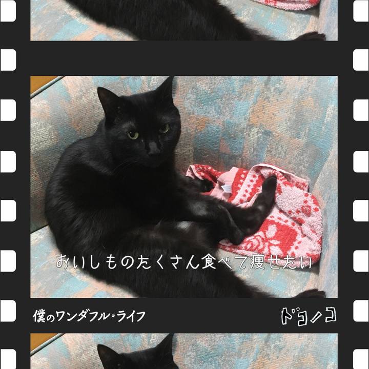 E9bcd2ac e474 4e8b b5d9 3897cbddb6dd