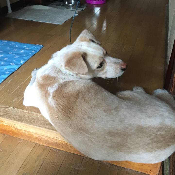 E9bcf34f e742 4c5e 8a26 09851a90fff5