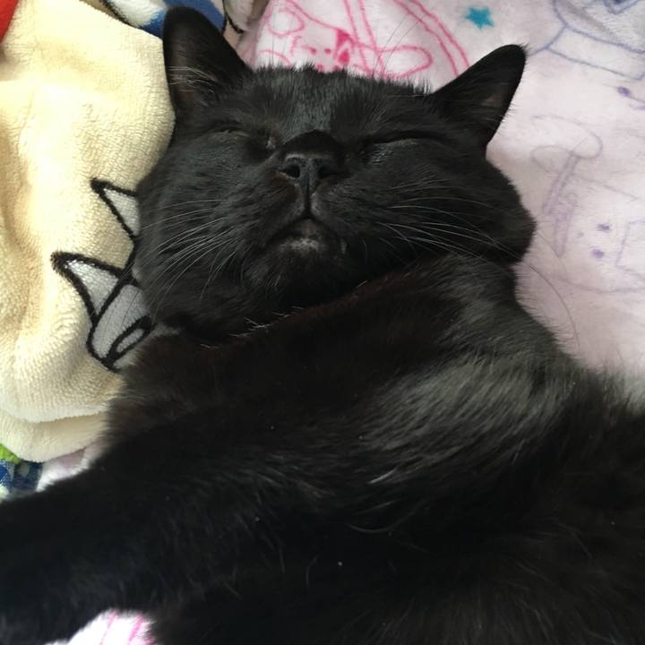 E9bd5148 ce65 4d77 bb7b 55bdf26b66d6