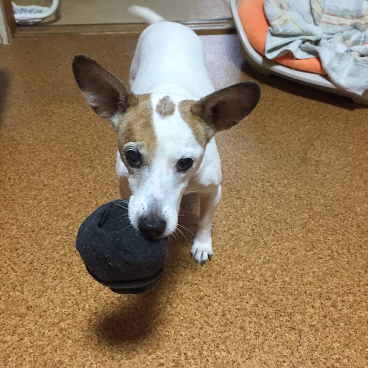 E9bd8386 834e 4ccf a68d 5fc351a50b19