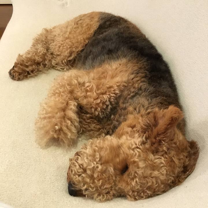 E9bf0c22 f9c4 45db b2a5 42e3651edf80