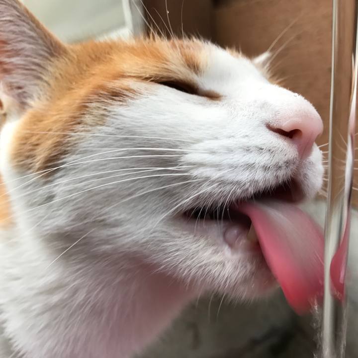 E9c00afd 0783 4462 b151 6a5ebcbba611