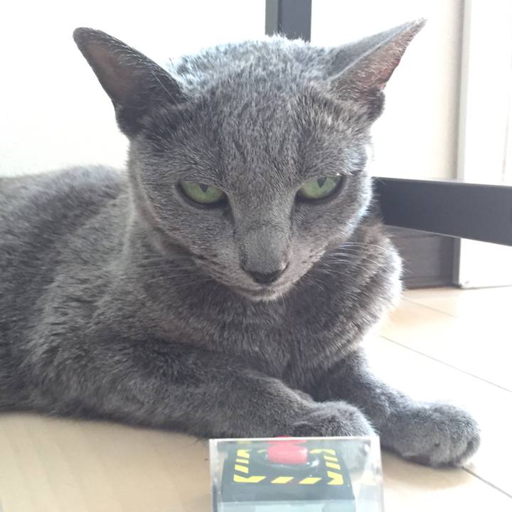 E9c084ec f0aa 4a8a 8a6d 1de9c72216cc