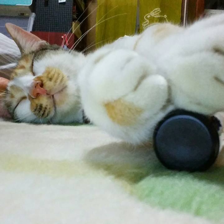 E9c0b5a0 b6ae 4932 961f 204cce9c8a98