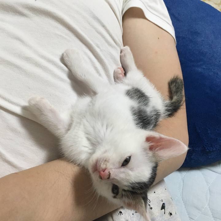 E9c11e3c c113 4ef7 9d12 718254f609ac