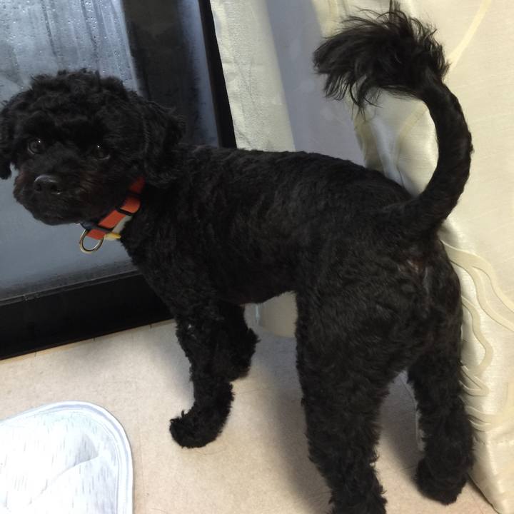 E9c1522c 6d55 449e 86d1 a11acae647ef