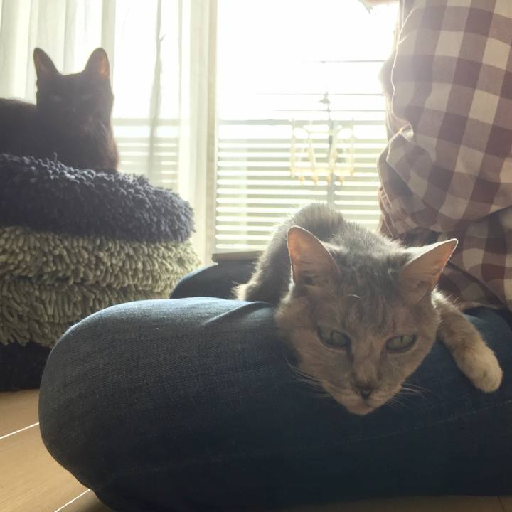 E9c15534 450c 4f4a 9bac f53250841f73