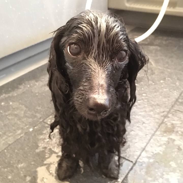 E9c19fdc 48ab 486f baa1 16b1b170637f