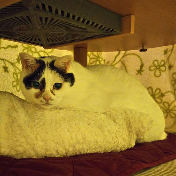 E9c21941 fe72 4d87 8adc 3288b899028b