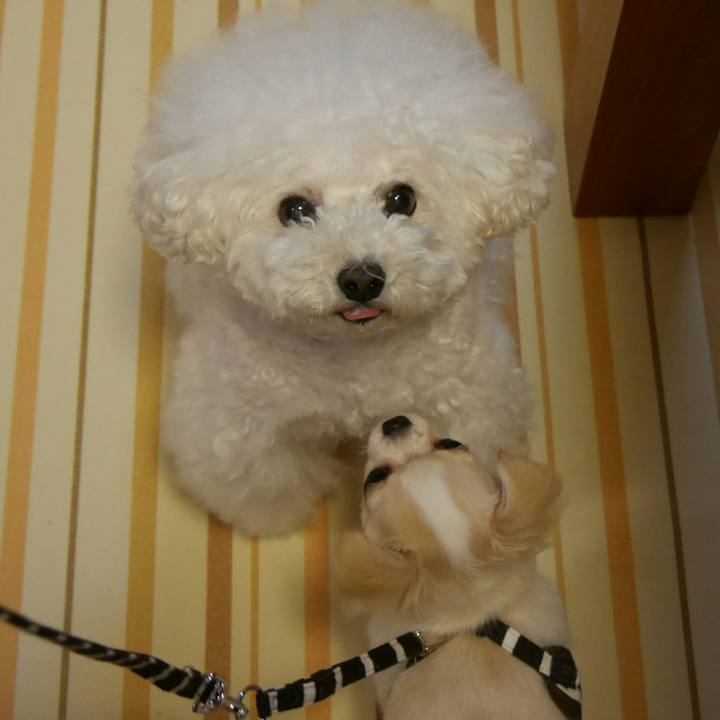 E9c2dc6e 11b5 4f22 aa41 1118fe6e9d03