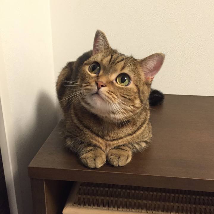 E9c3ad31 274c 4a88 94c0 bddfb0d0bf57