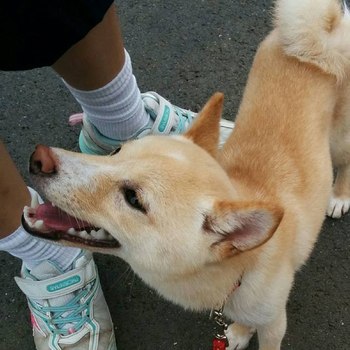 E9c3af5b 6342 4cb8 80b1 66b11130f307