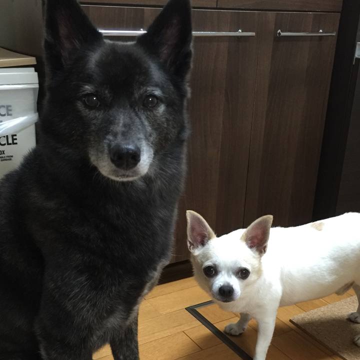 E9c44b52 2149 4c8b ba29 db94afc37125