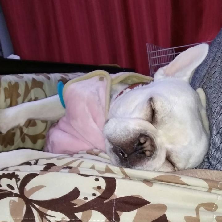 E9c451bb 3e55 4528 a16b 44b634f1f2fe