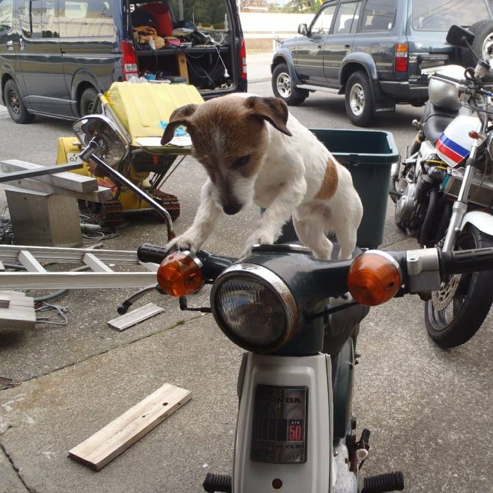 E9c4ee74 aefe 4184 b3da 07bc13b2abbe