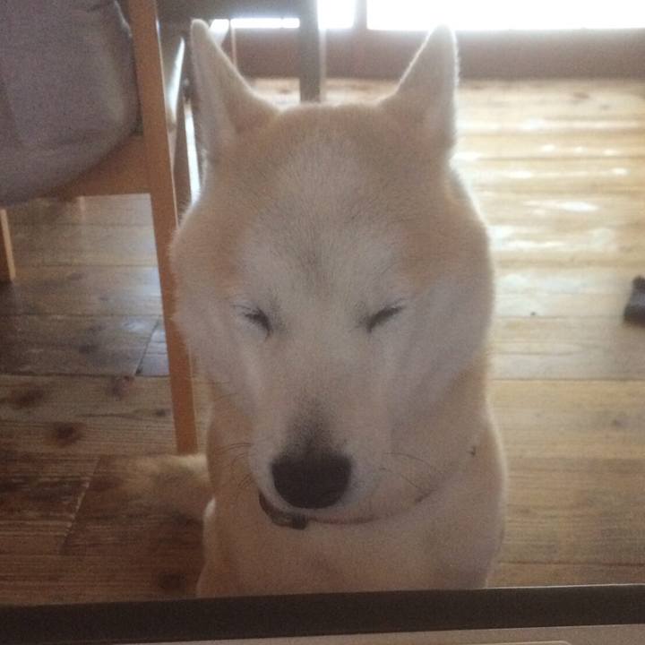 E9c55fdb d352 43ec 8c62 f69970aa75d7