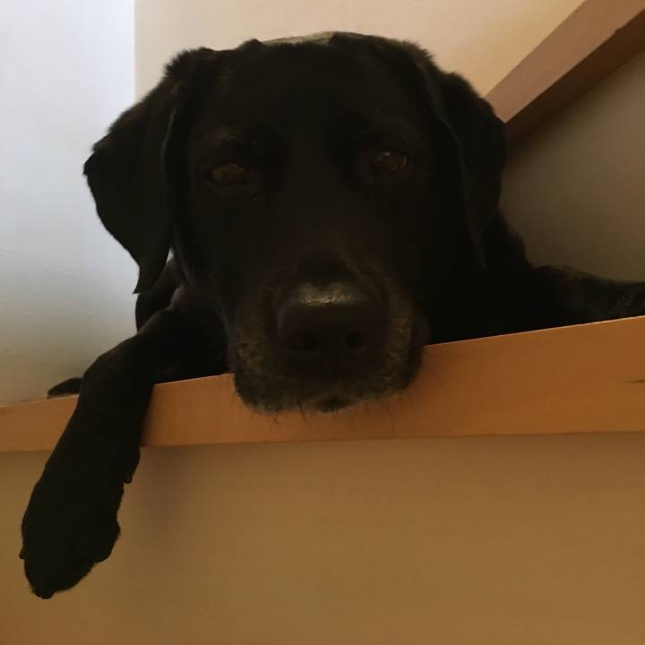 E9c7056d 9e70 46b8 8a60 37c5527dc861