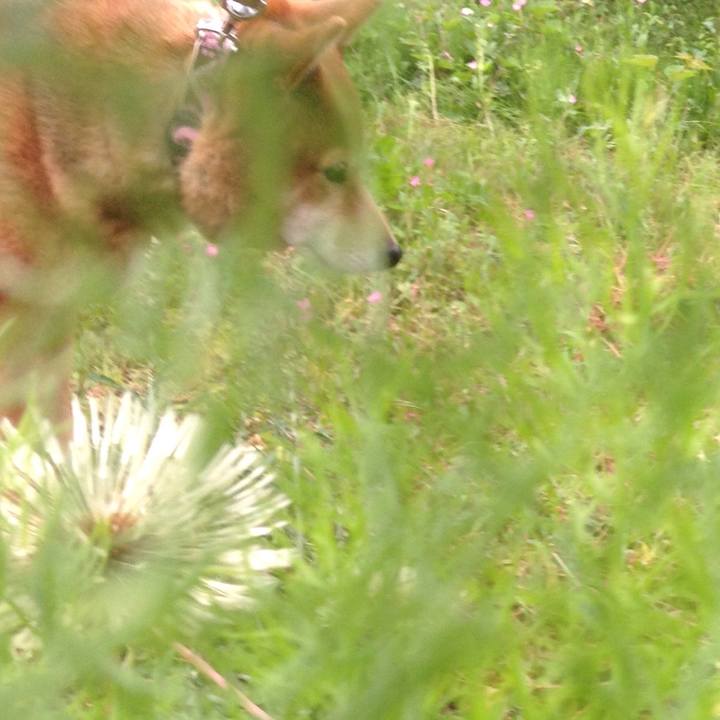 E9c749bc 763d 4787 a56e cb5b7483bb06