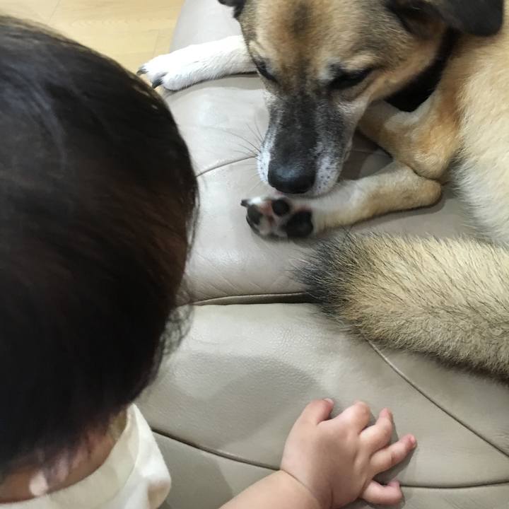 E9c820ff d897 4ccd bcd6 970cd5869270