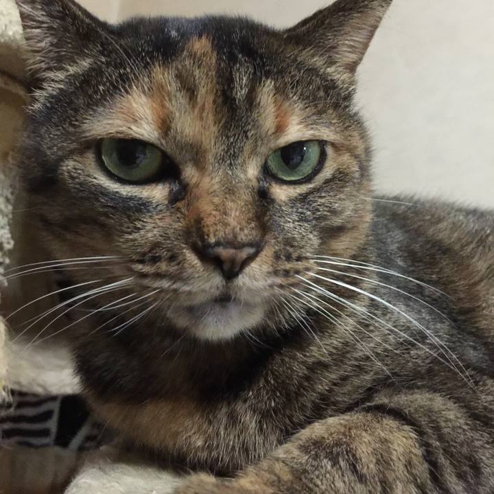 E9c882d0 4ba9 44a8 94a9 a652f9d6b87d