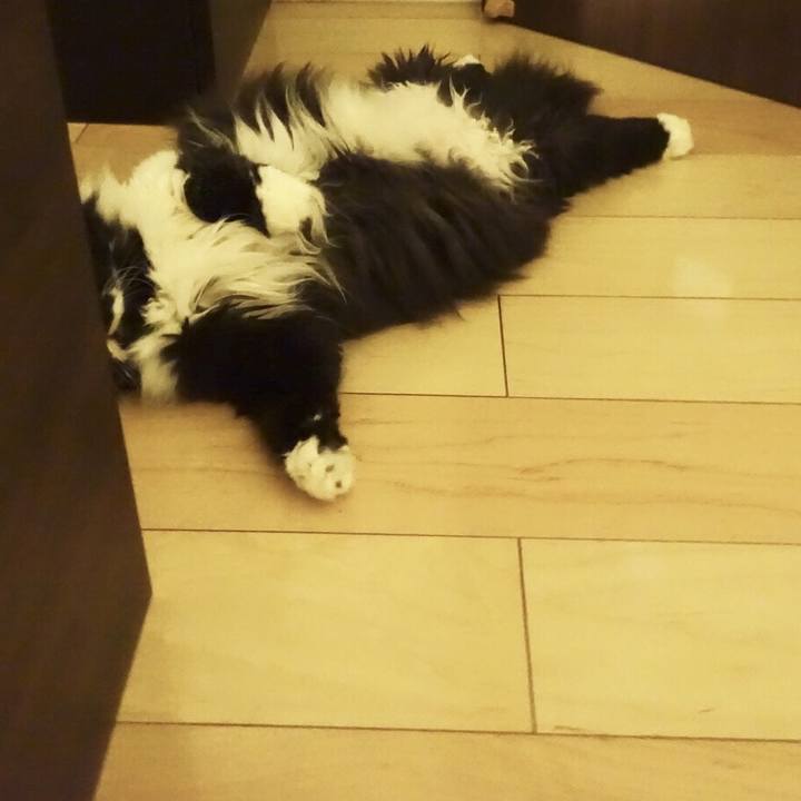 E9c8b3db 42f6 40dd ab90 786e75aa6243