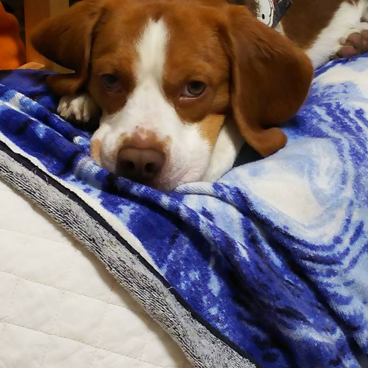 E9c973ed 7b50 474f 8df2 2d95eaf3822e