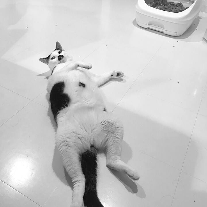 E9c99040 97b7 4894 a016 09140a73d8c4