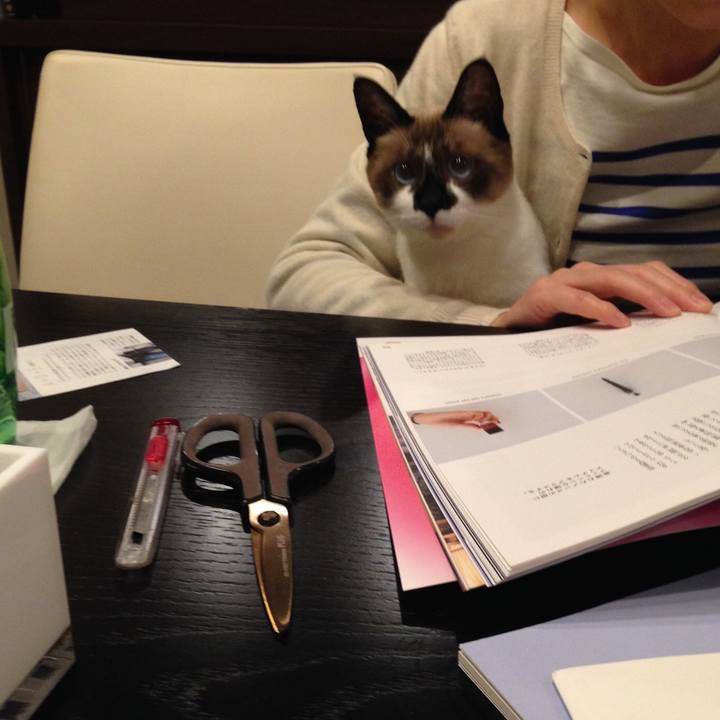 E9c9bf33 f36d 4880 8819 6bd03392f5f6