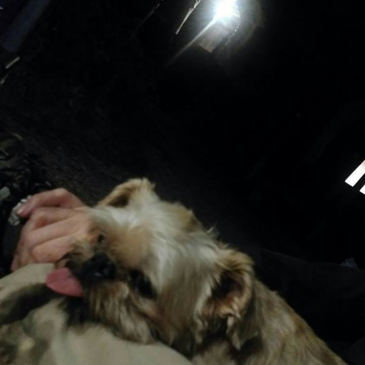 E9ca6d02 5137 4669 9d10 42bc02cc718a