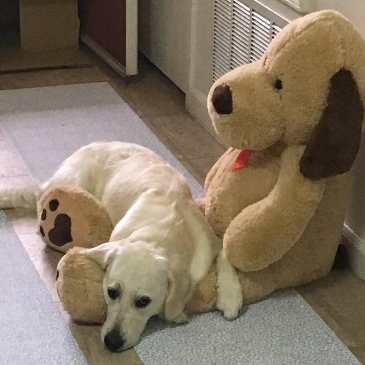 E9cbcd12 3ae7 4d58 8310 3a4a25afe7e2