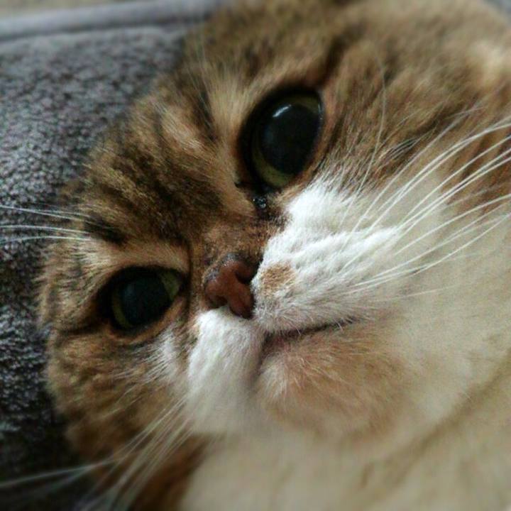 E9cbd7c2 43ff 41d1 bd32 827f51d82308