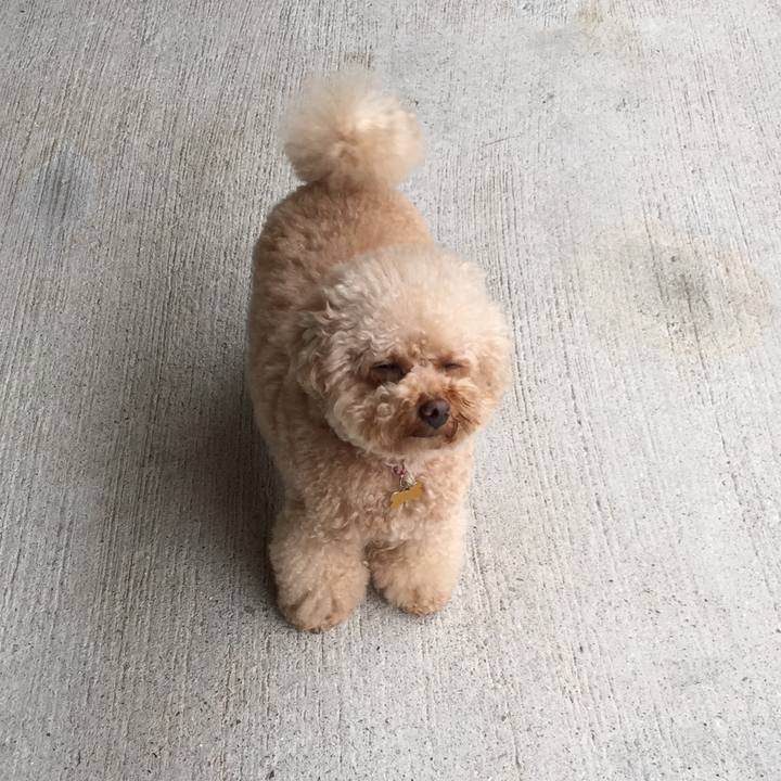 E9cbe68c 184d 4f73 a459 8139bf591f1b